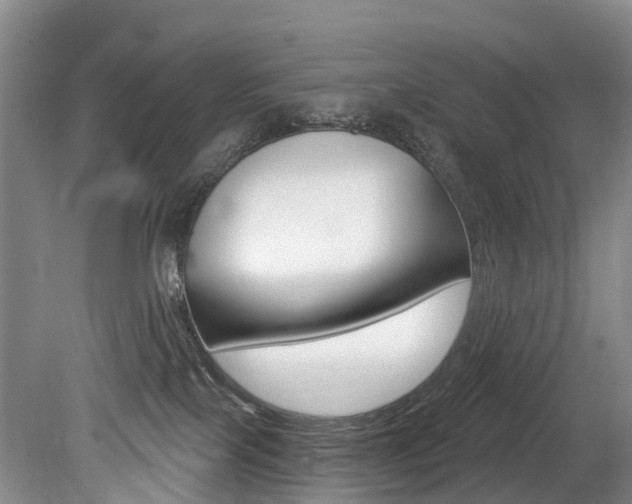 X0000079330089200611171007