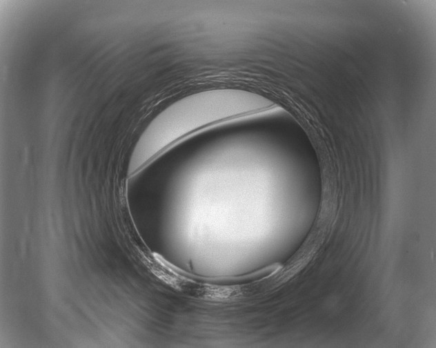 X0000079330096200611171007