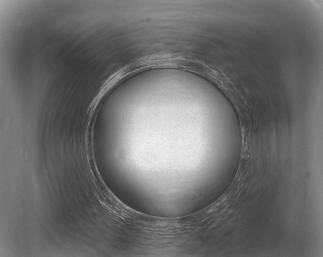 X0000079330099200611171006
