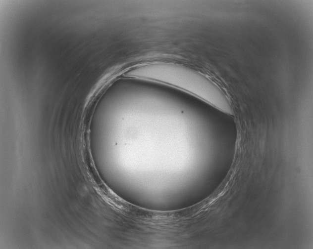 X0000079330101200611171006