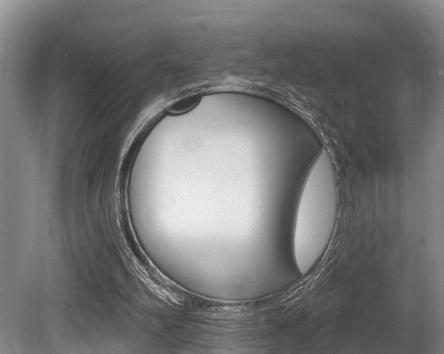 X0000079330102200611171006