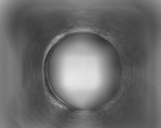 X0000079330104200611171006