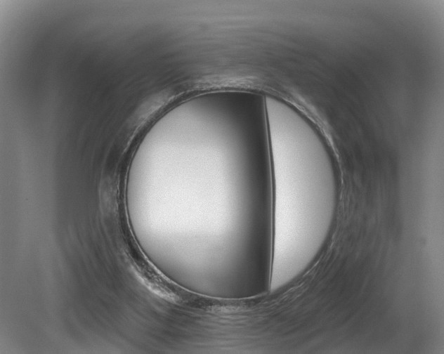 X0000079330107200611171006