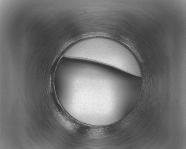 X0000079330110200611171006