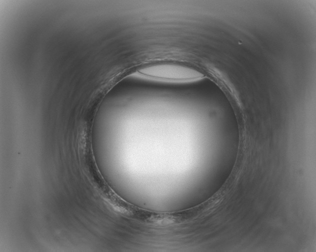 X0000079330113200611171006