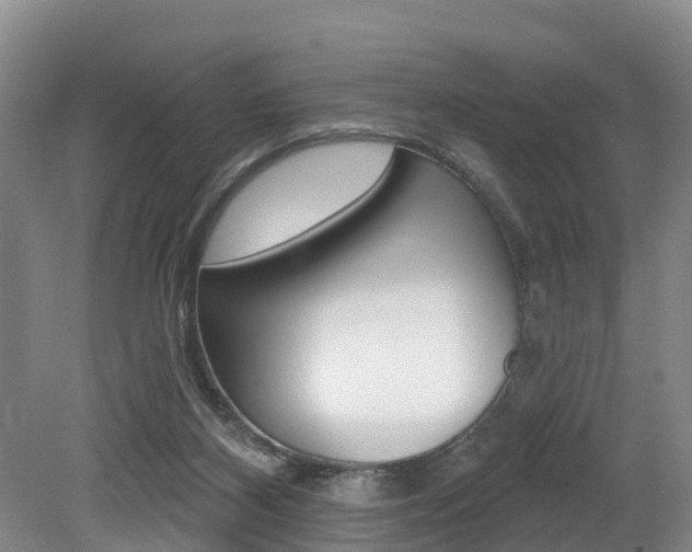 X0000079330116200611171006