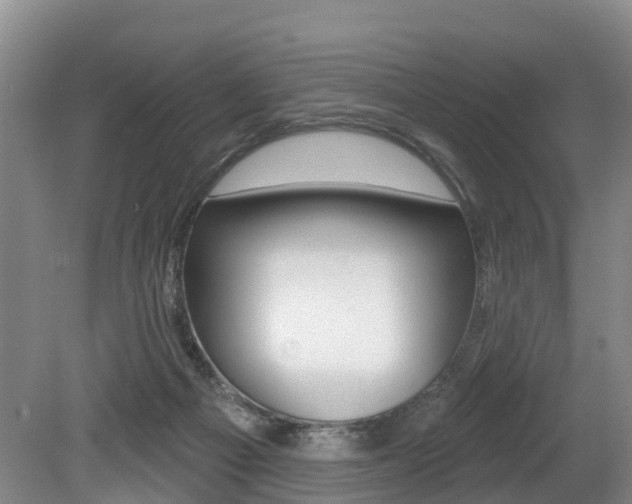 X0000079330121200611171006