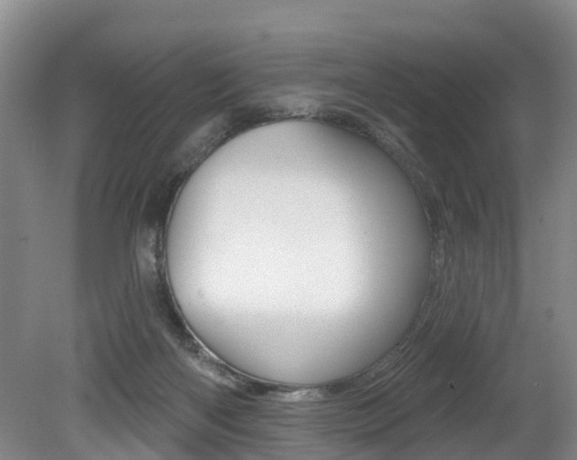 X0000079330122200611171006