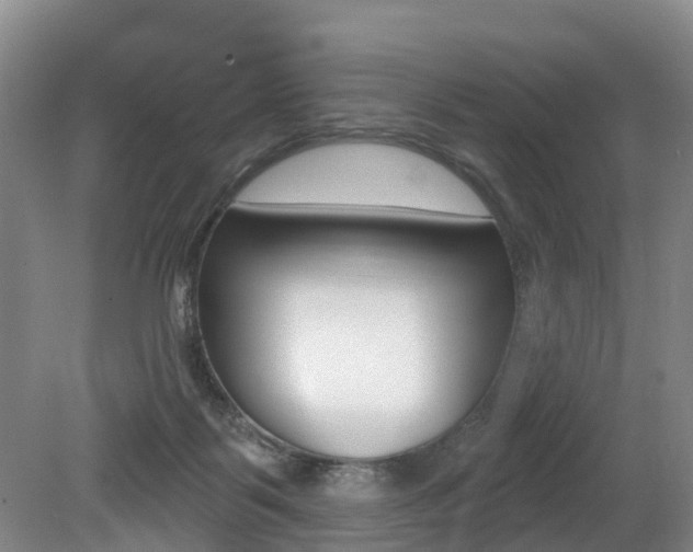X0000079330123200611171006