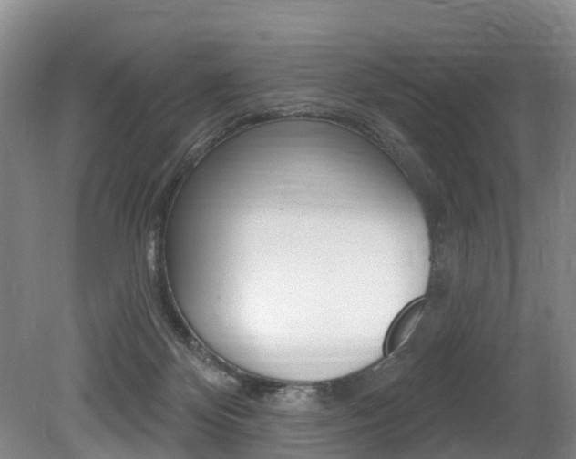 X0000079330124200611171006