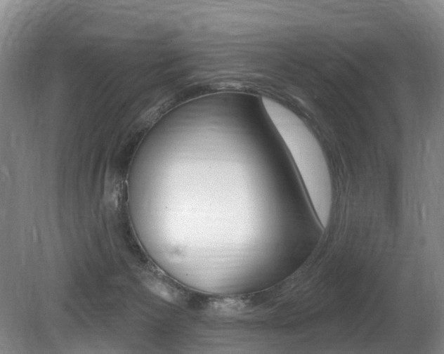 X0000079330125200611171006