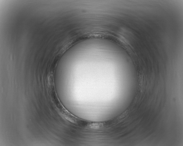 X0000079330126200611171006