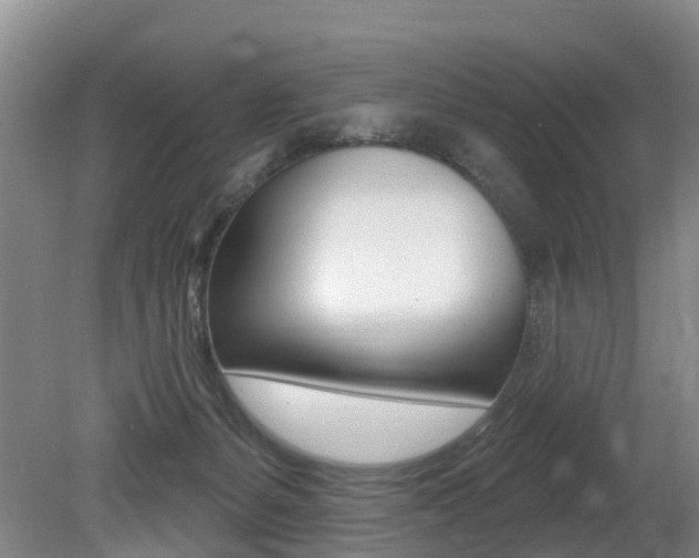 X0000079330127200611171006