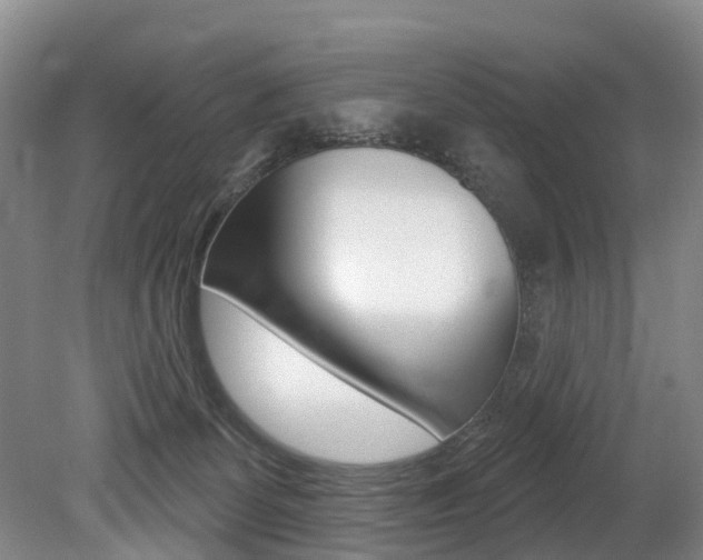 X0000079330131200611171006
