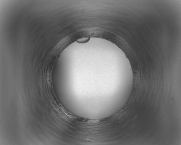 X0000079330138200611171006