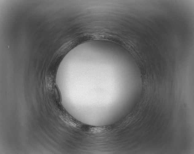 X0000079330139200611171006