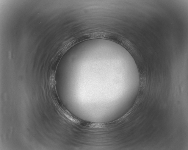 X0000079330142200611171006