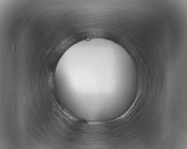 X0000079330144200611171006