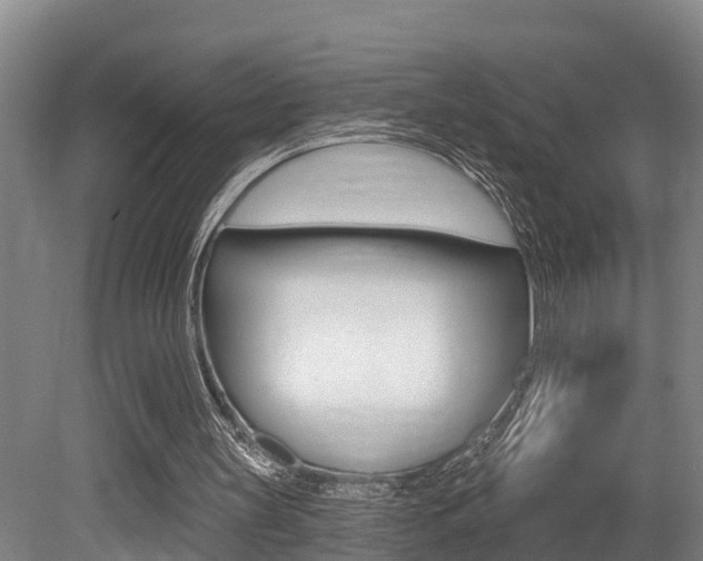 X0000079330147200611171005