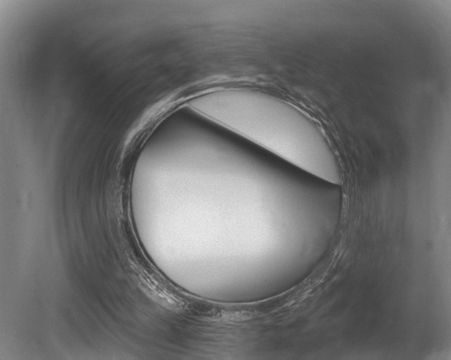 X0000079330149200611171005