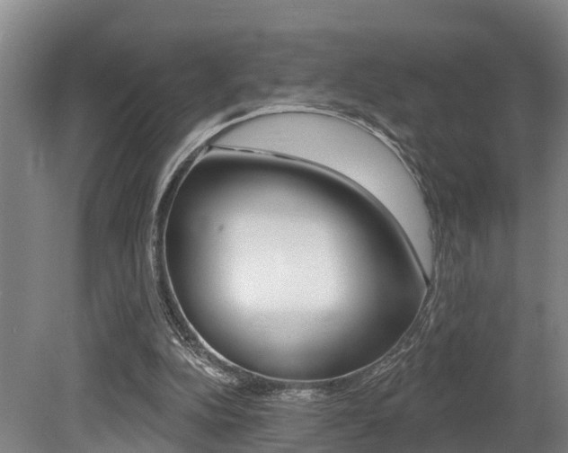X0000079330152200611171005