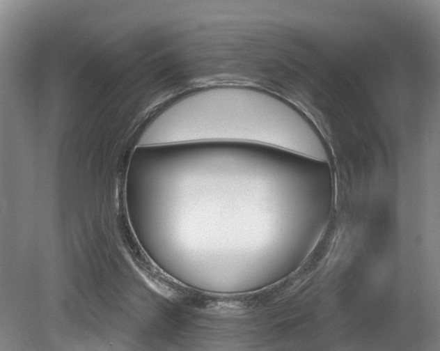 X0000079330157200611171005