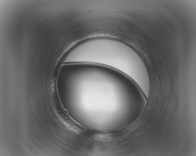 X0000079330160200611171005