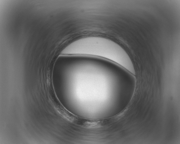 X0000079330170200611171005
