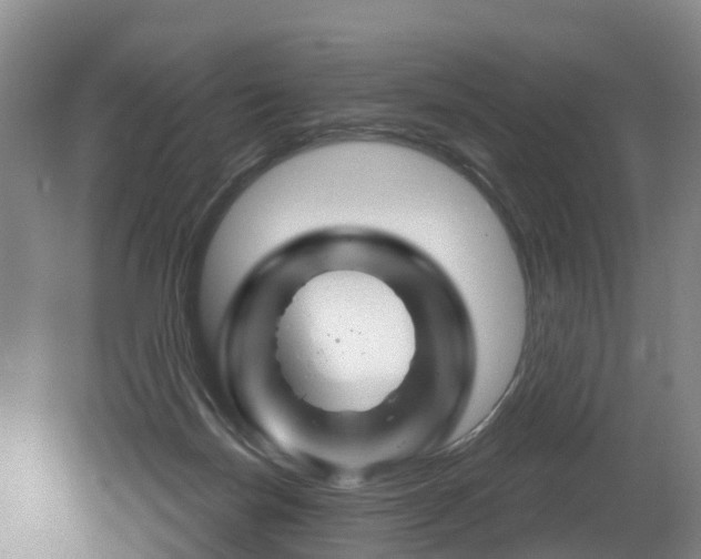 X0000079330171200611171005