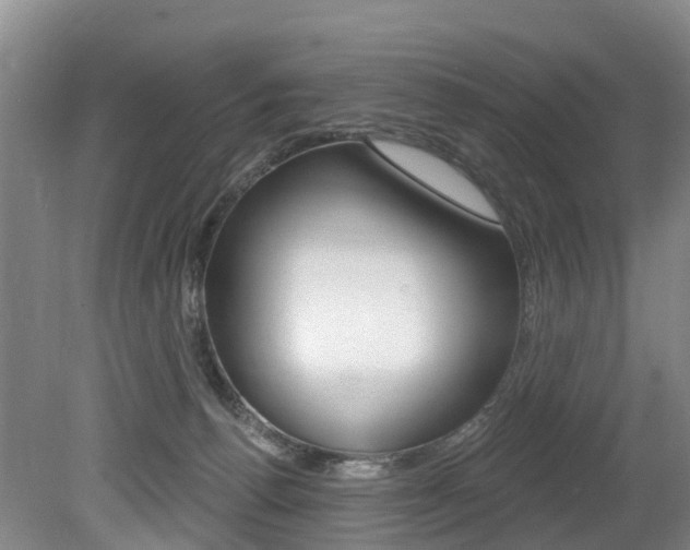 X0000079330176200611171005