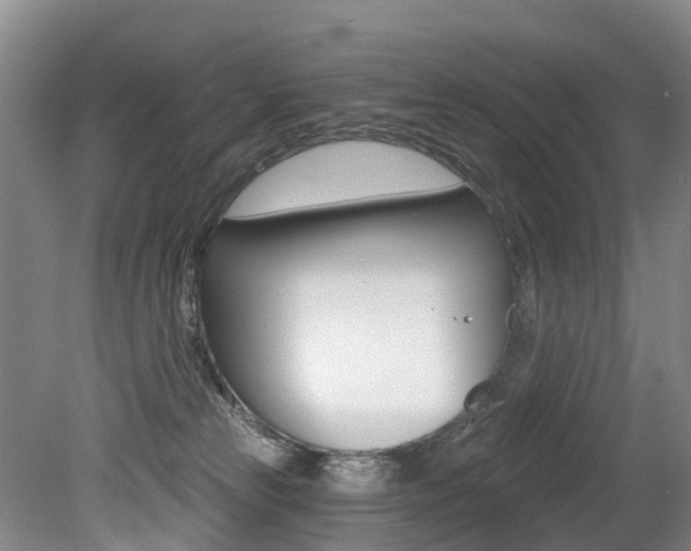 X0000079330181200611171006