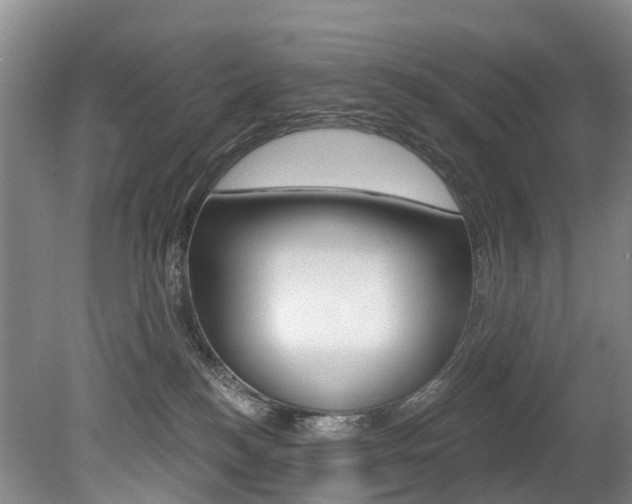 X0000079330184200611171006