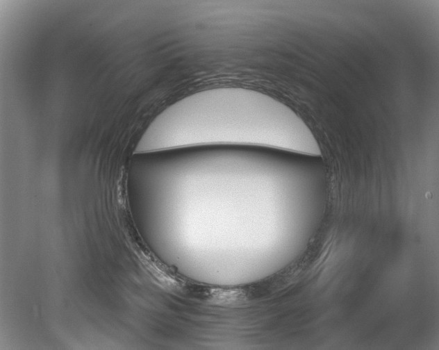 X0000079330185200611171006