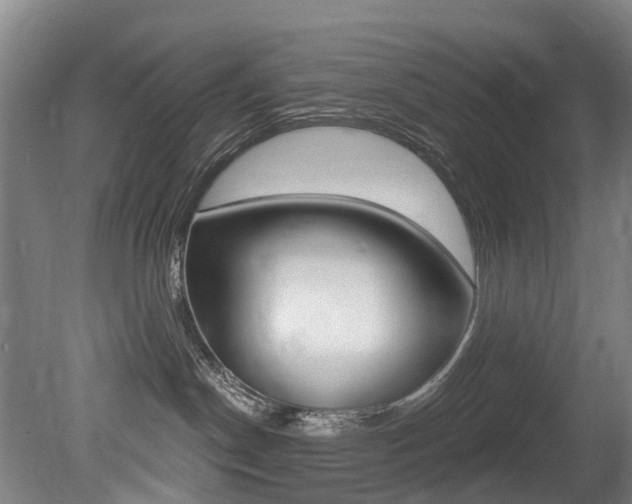 X0000079330190200611171006