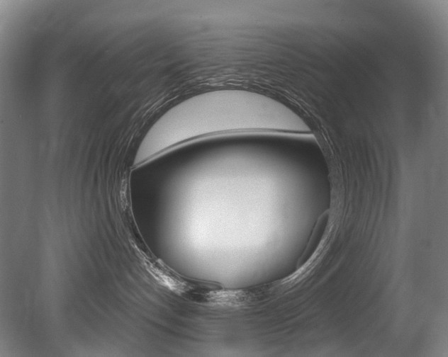 X0000079330192200611171006