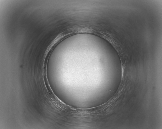 X0000079330195200611171005