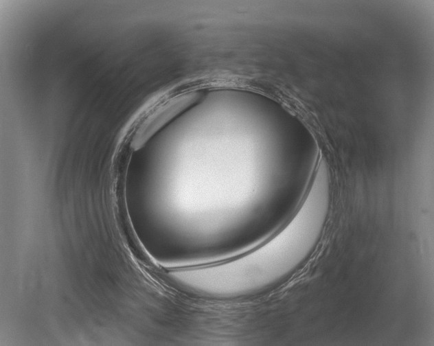 X0000079330197200611171005