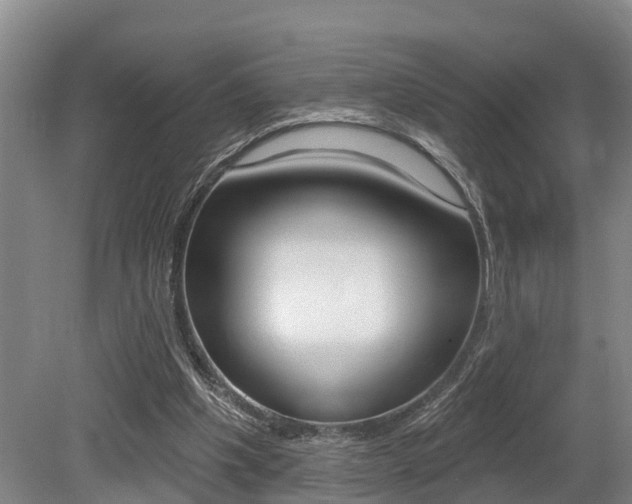 X0000079330201200611171005