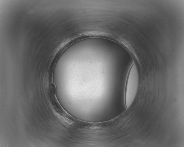 X0000079330204200611171005