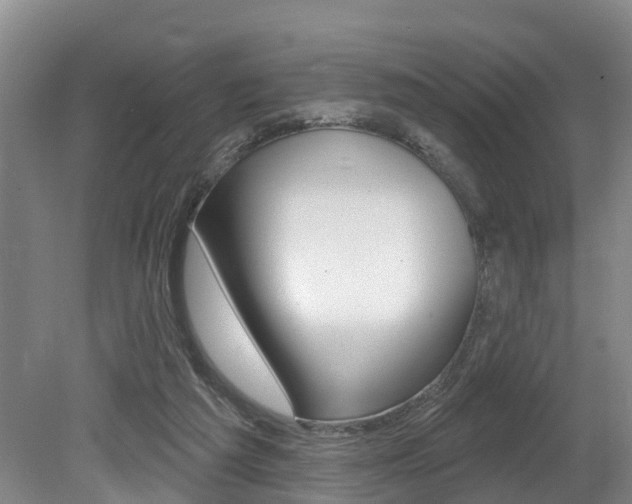 X0000079330209200611171005