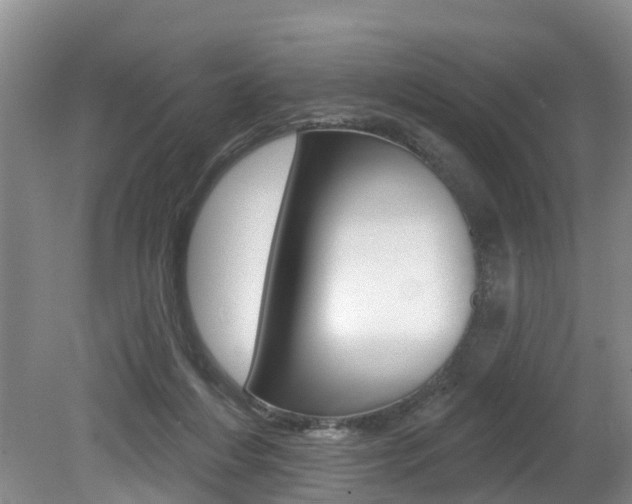 X0000079330216200611171005