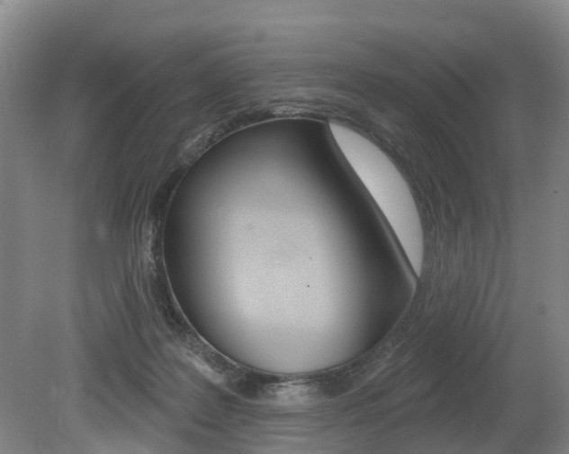 X0000079330219200611171004