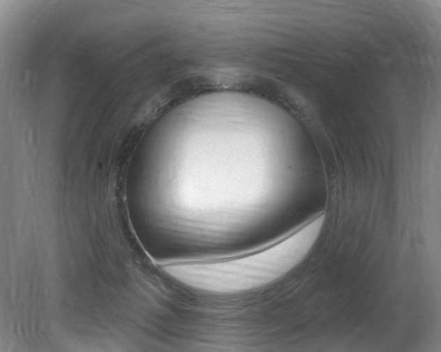 X0000079330221200611171004