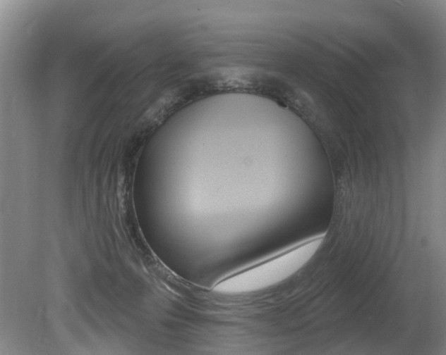 X0000079330223200611171004