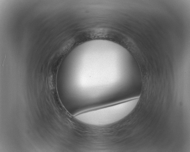 X0000079330224200611171004