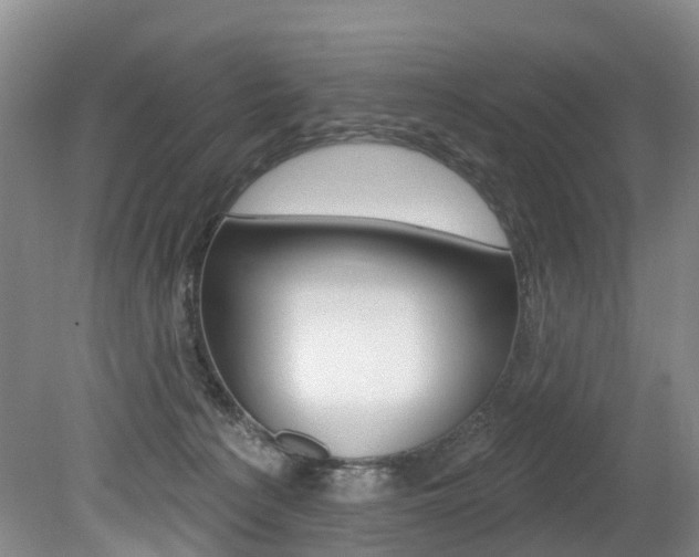 X0000079330225200611171004