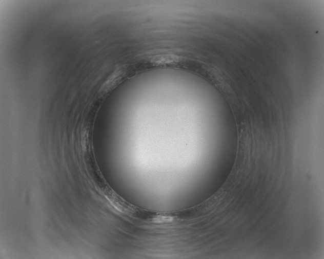 X0000079330227200611171004