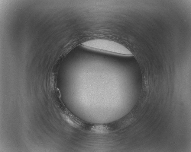 X0000079330231200611171004