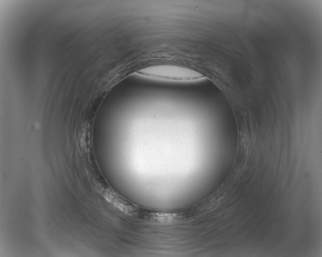 X0000079330233200611171004