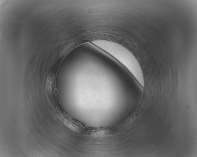 X0000079330235200611171004